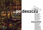 … po deszczu